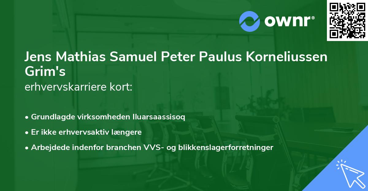 Jens Mathias Samuel Peter Paulus Korneliussen Grim's erhvervskarriere kort