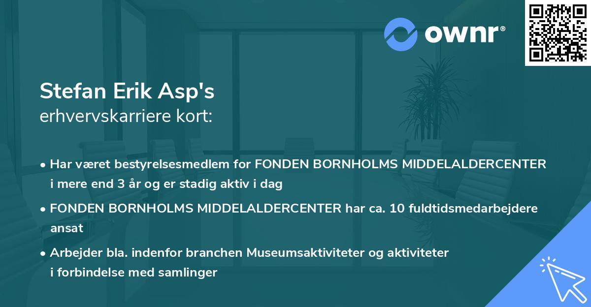 Stefan Erik Asp's erhvervskarriere kort