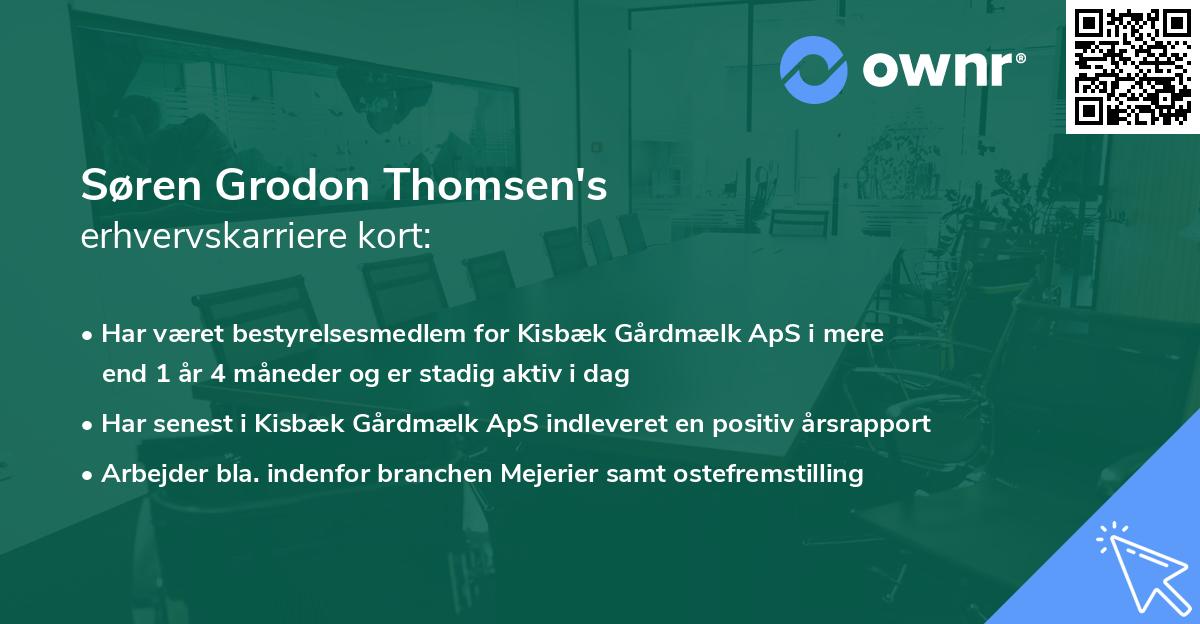 Søren Grodon Thomsen's erhvervskarriere kort