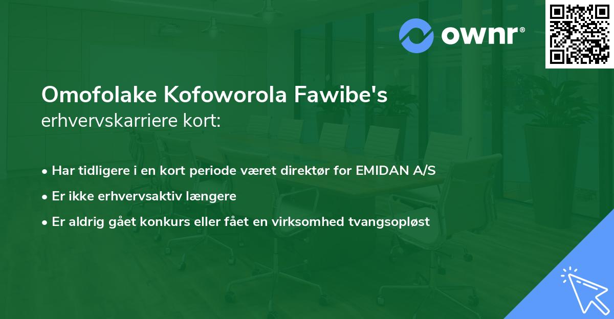 Omofolake Kofoworola Fawibe's erhvervskarriere kort