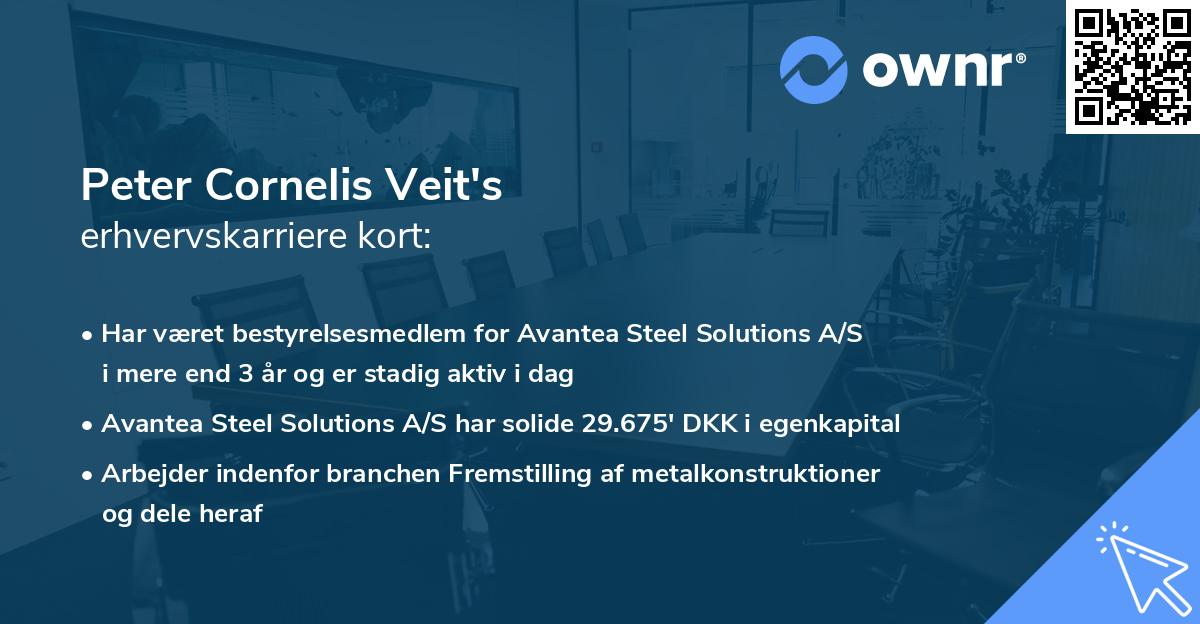 Peter Cornelis Veit's erhvervskarriere kort