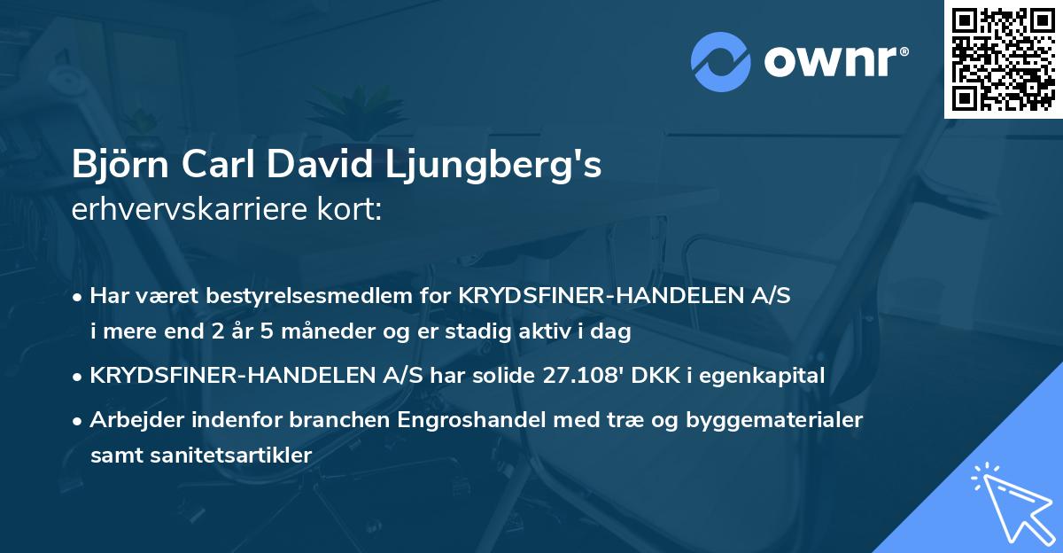 Björn Carl David Ljungberg's erhvervskarriere kort