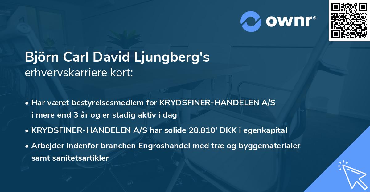 Björn Carl David Ljungberg's erhvervskarriere kort