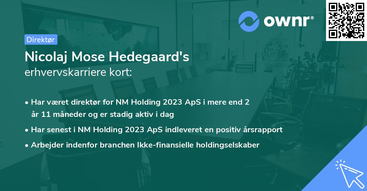 Nicolaj Mose Hedegaard's erhvervskarriere kort