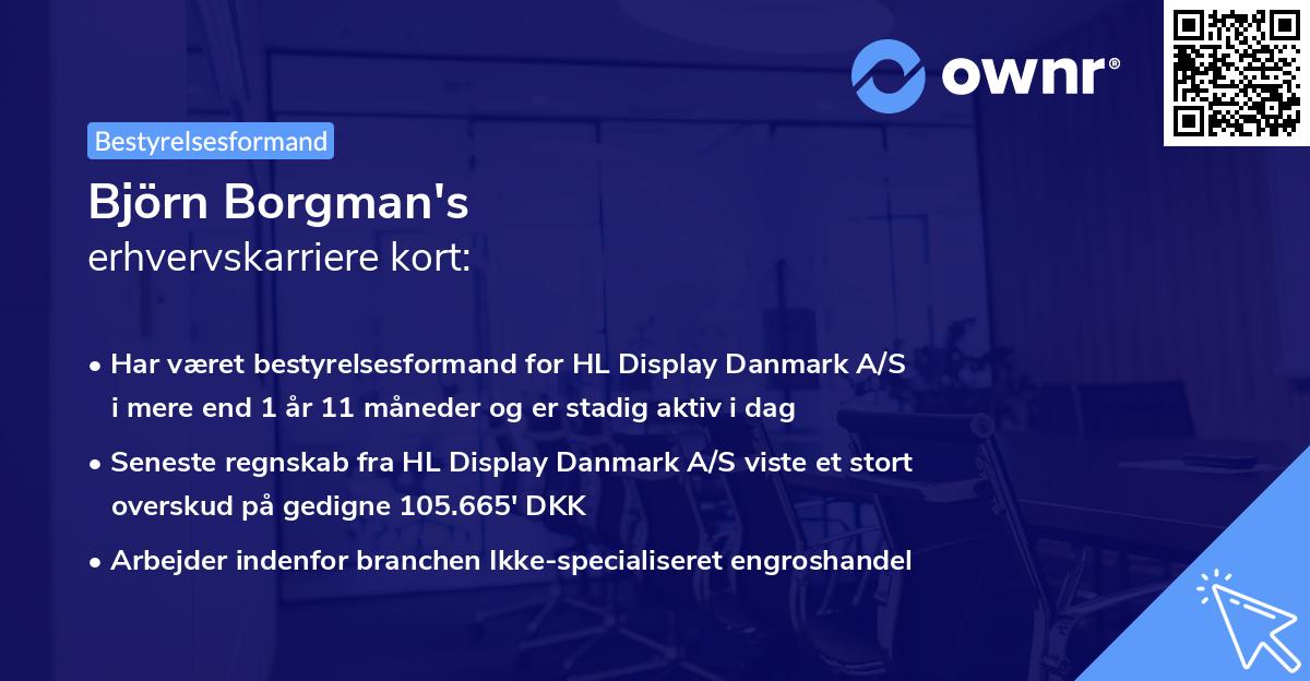 Björn Borgman's erhvervskarriere kort