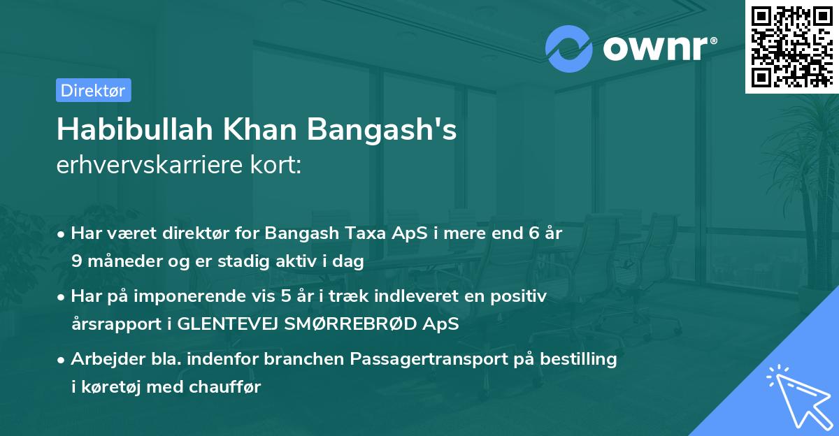 Habibullah Khan Bangash's erhvervskarriere kort