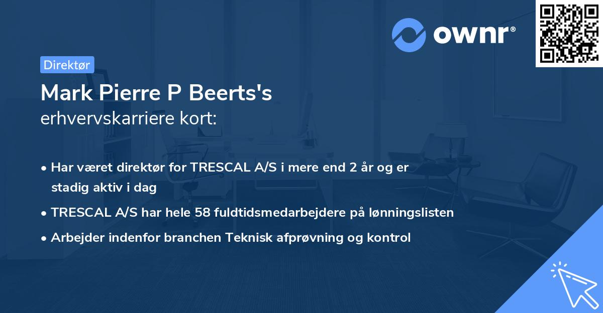 Mark Pierre P Beerts's erhvervskarriere kort