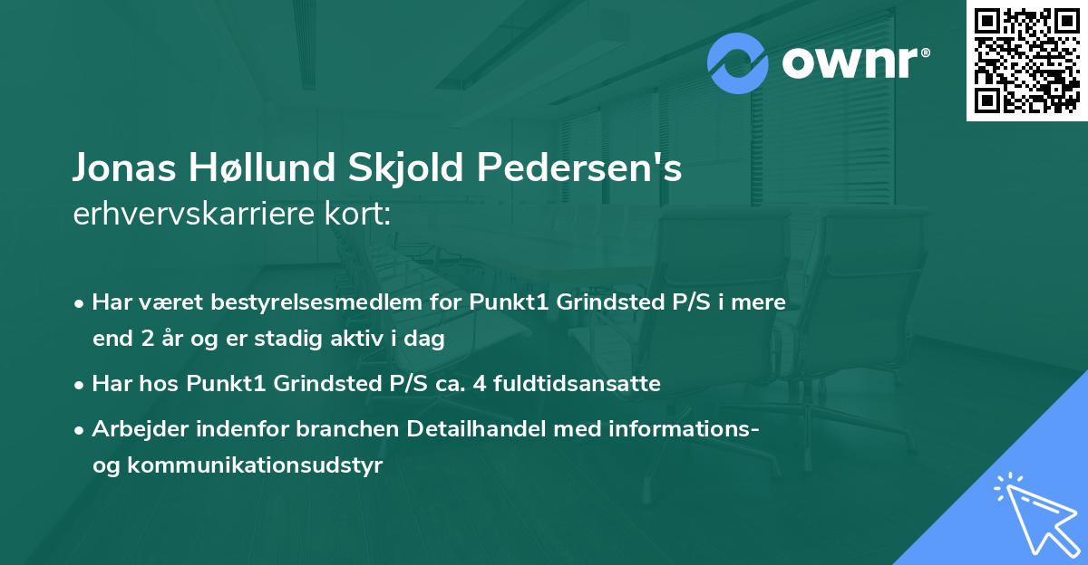 Jonas Høllund Skjold Pedersen's erhvervskarriere kort