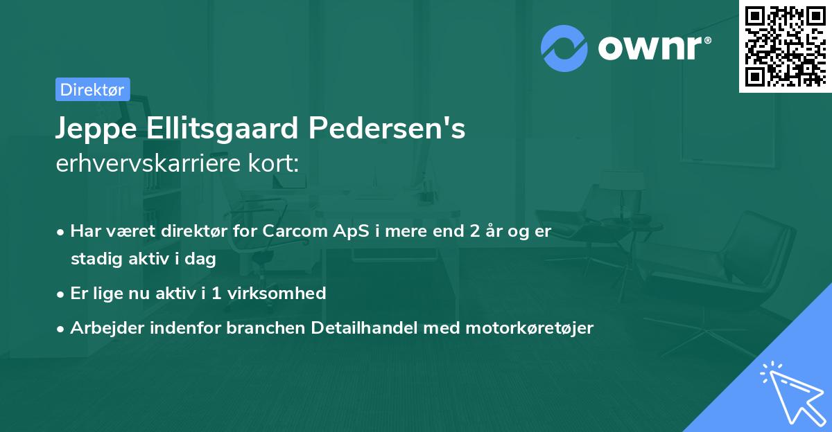 Jeppe Ellitsgaard Pedersen's erhvervskarriere kort