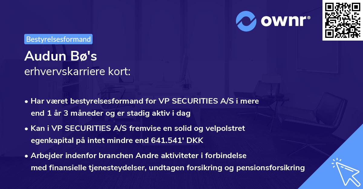 Audun Bø's erhvervskarriere kort