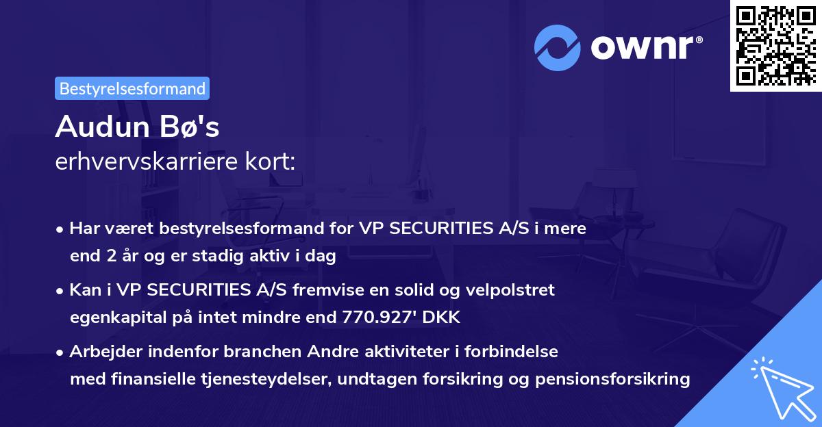 Audun Bø's erhvervskarriere kort