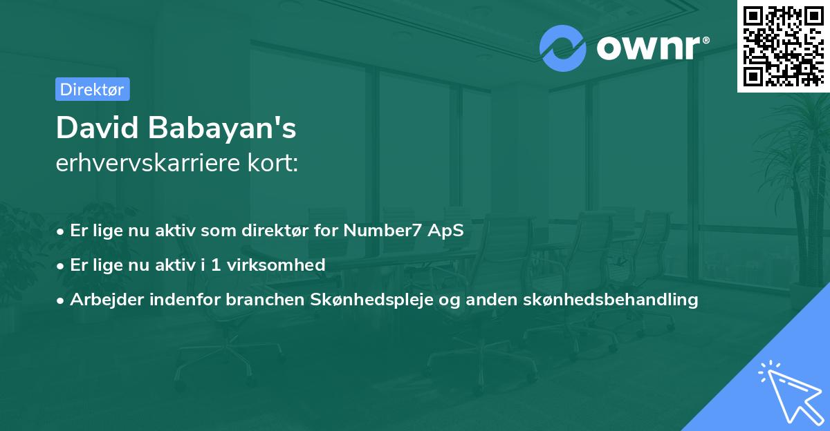 David Babayan's erhvervskarriere kort