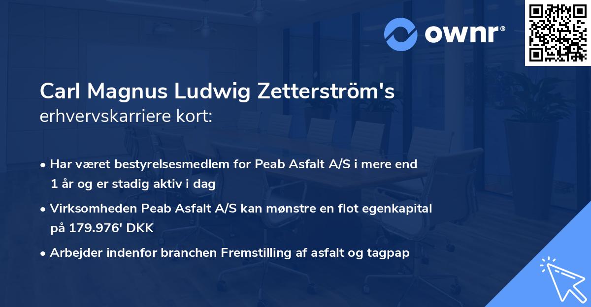 Carl Magnus Ludwig Zetterström's erhvervskarriere kort