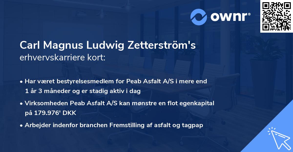 Carl Magnus Ludwig Zetterström's erhvervskarriere kort