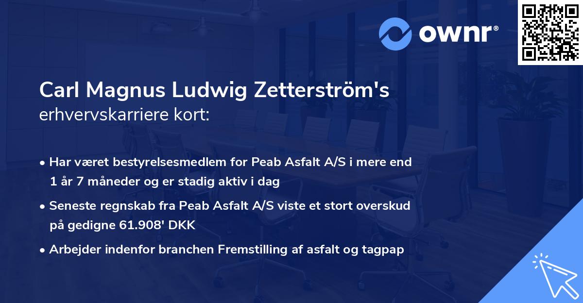 Carl Magnus Ludwig Zetterström's erhvervskarriere kort