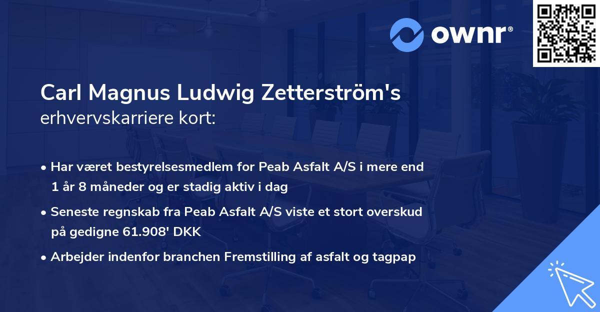 Carl Magnus Ludwig Zetterström's erhvervskarriere kort