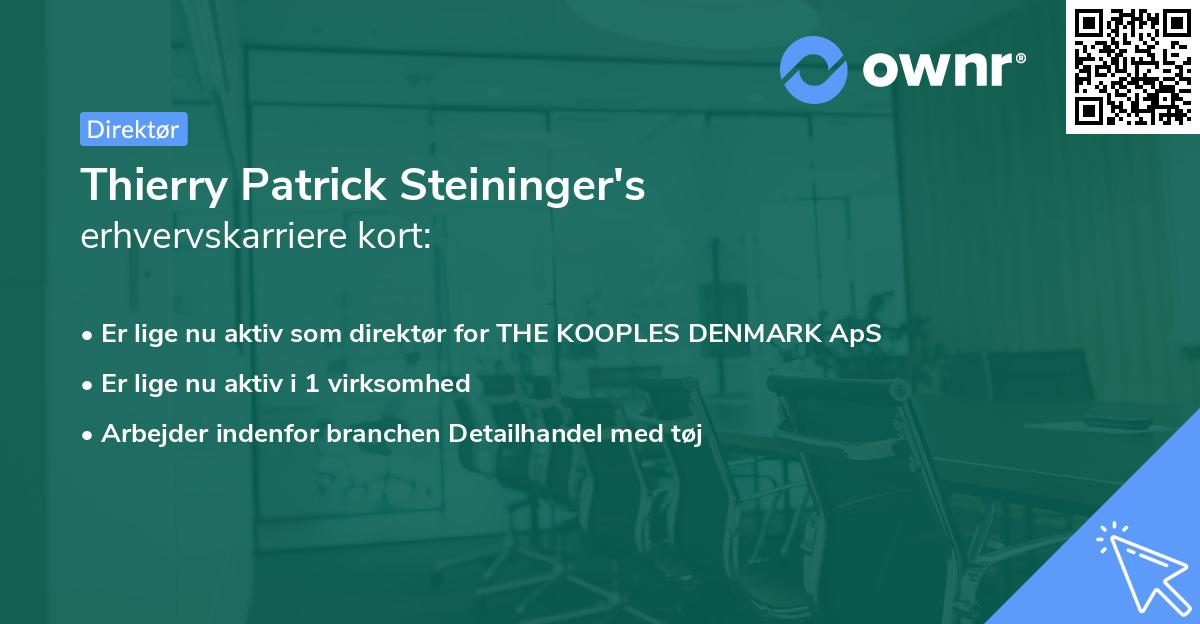 Thierry Patrick Steininger's erhvervskarriere kort