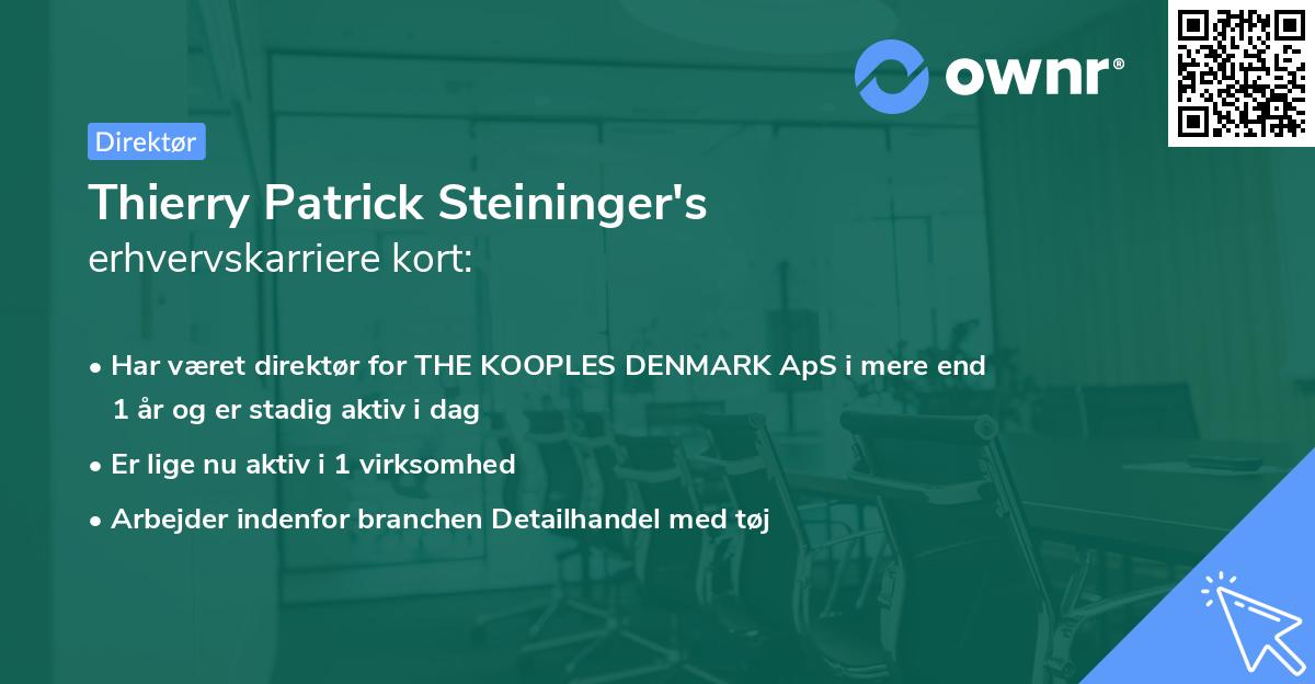 Thierry Patrick Steininger's erhvervskarriere kort