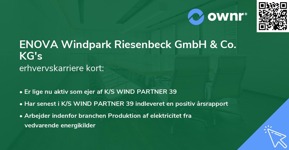 ENOVA Windpark Riesenbeck GmbH & Co. KG's erhvervskarriere kort