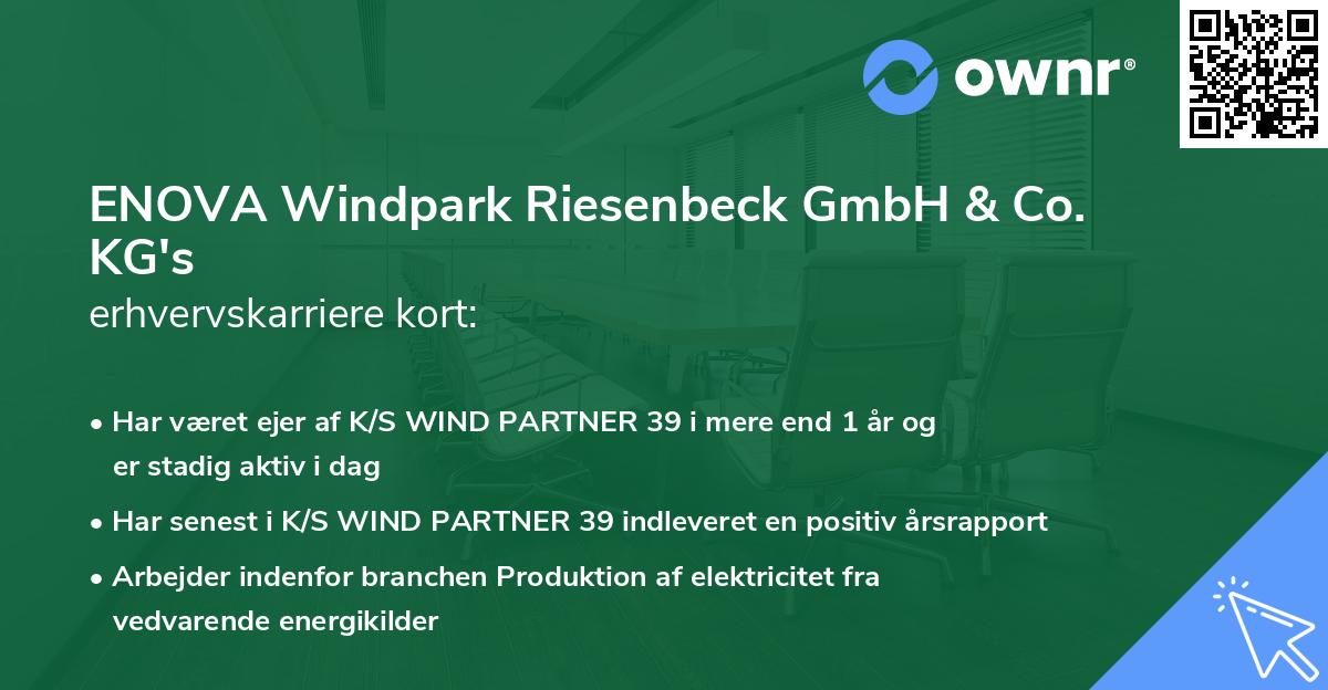 ENOVA Windpark Riesenbeck GmbH & Co. KG's erhvervskarriere kort