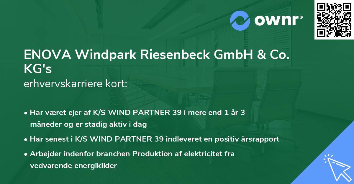 ENOVA Windpark Riesenbeck GmbH & Co. KG's erhvervskarriere kort