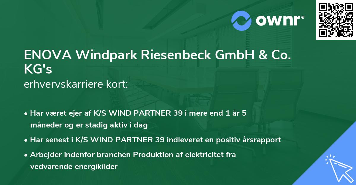 ENOVA Windpark Riesenbeck GmbH & Co. KG's erhvervskarriere kort