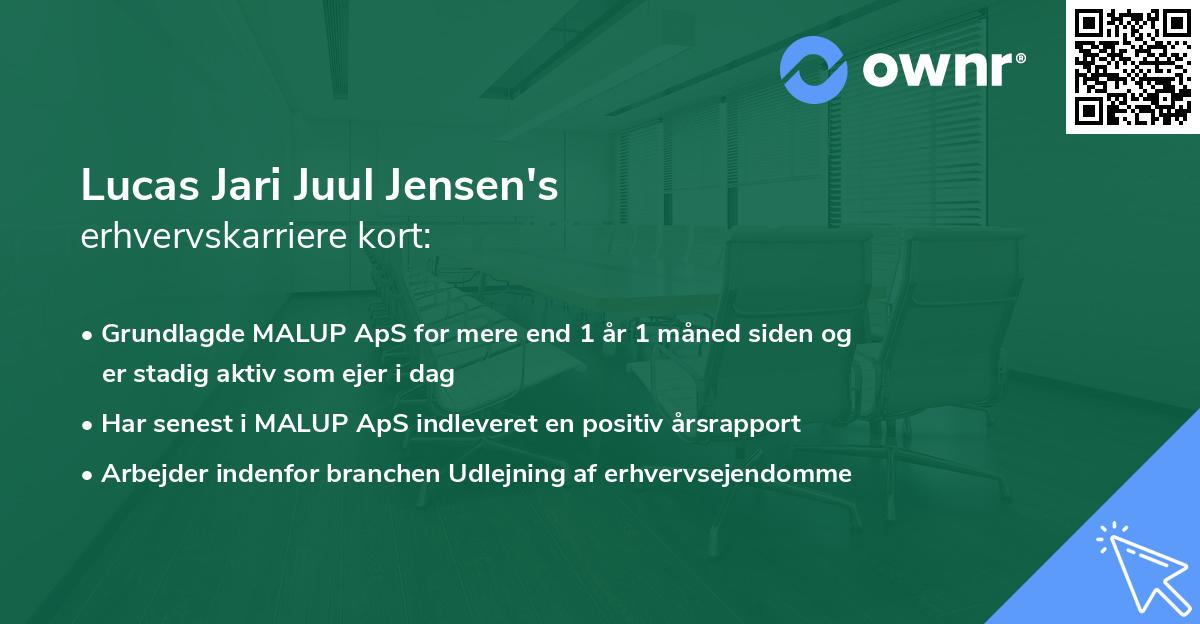 Lucas Jari Juul Jensen's erhvervskarriere kort