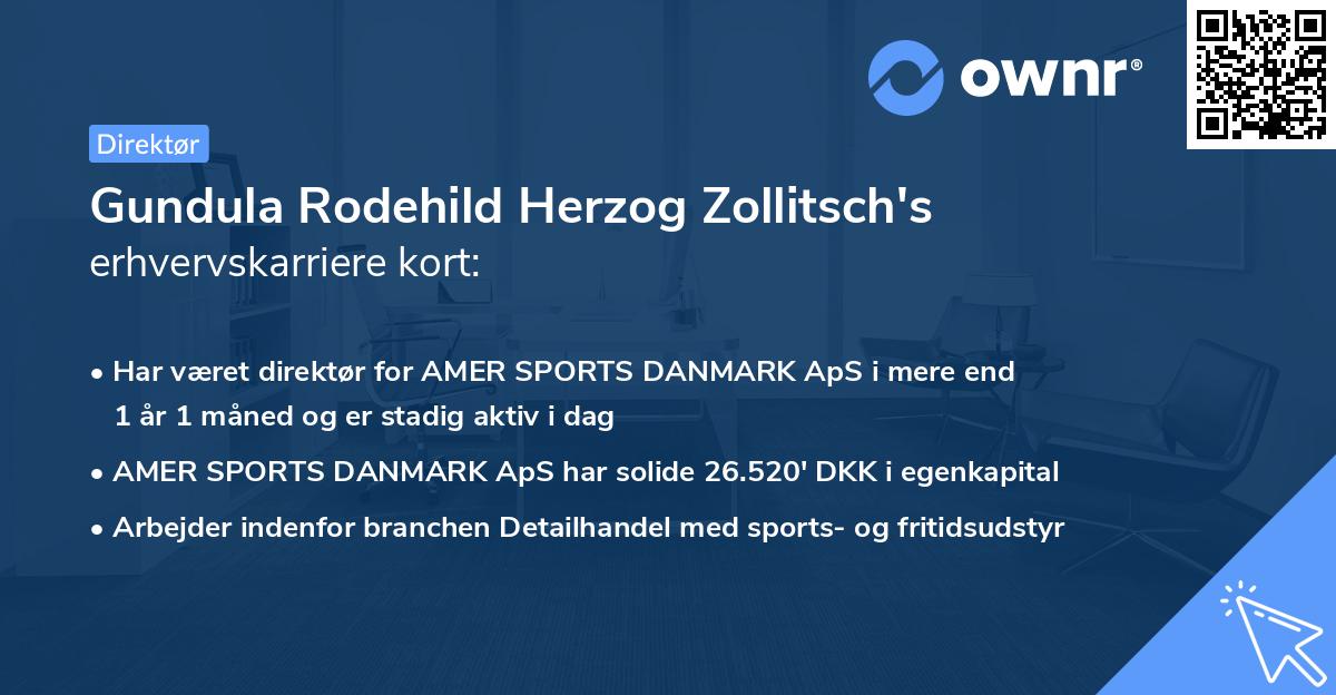 Gundula Rodehild Herzog Zollitsch's erhvervskarriere kort