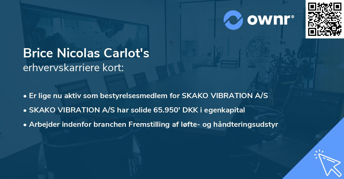 Brice Nicolas Carlot's erhvervskarriere kort