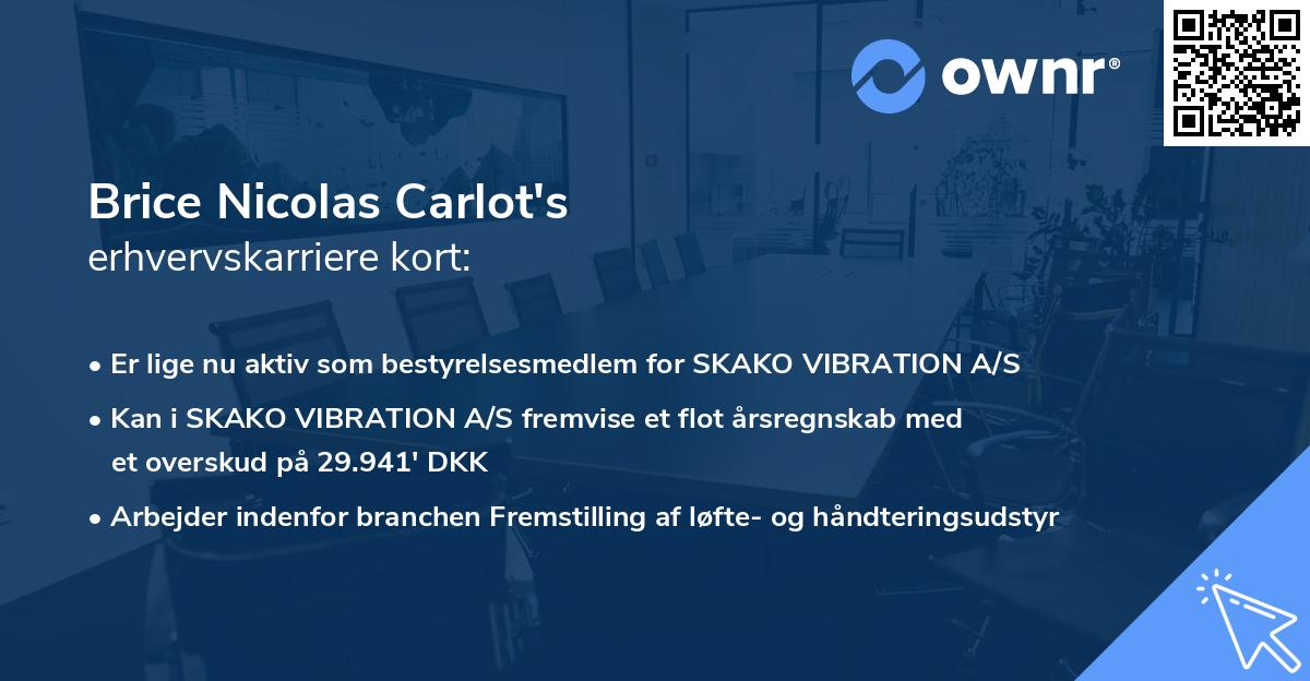 Brice Nicolas Carlot's erhvervskarriere kort