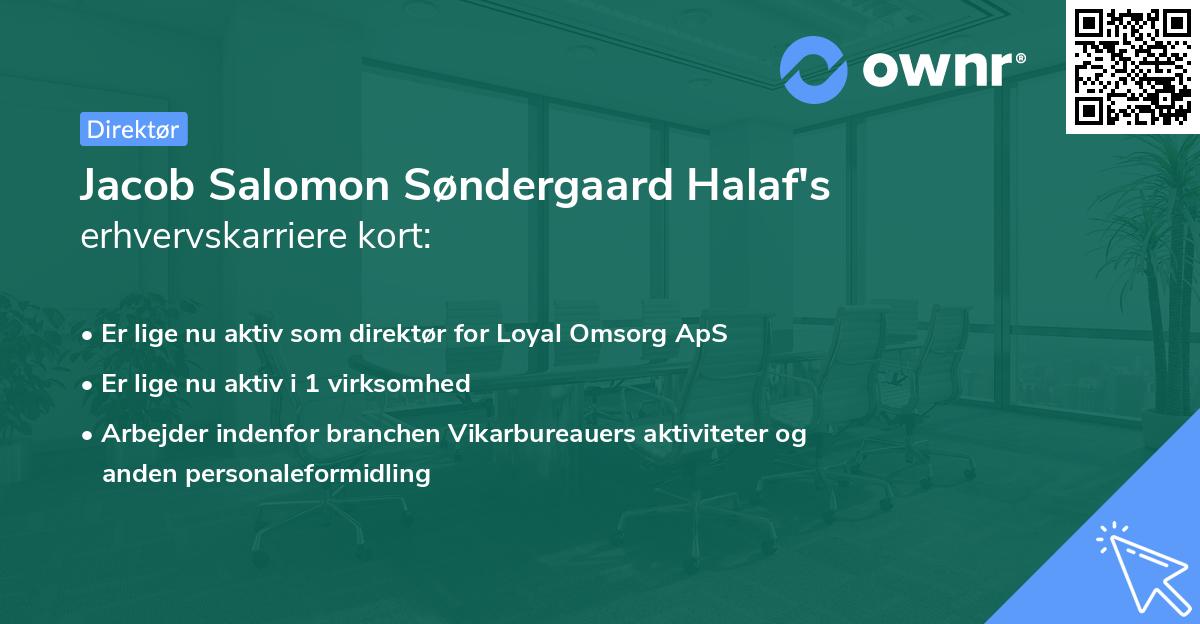 Jacob Salomon Søndergaard Halaf's erhvervskarriere kort