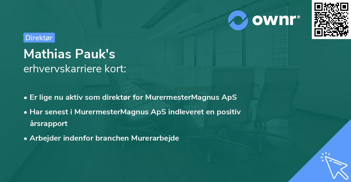 Mathias Pauk's erhvervskarriere kort