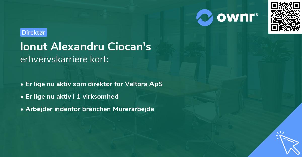 Ionut Alexandru Ciocan's erhvervskarriere kort