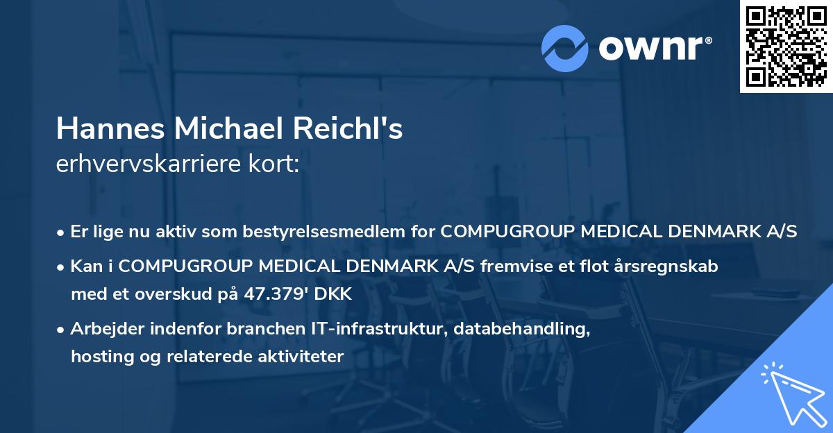 Hannes Michael Reichl's erhvervskarriere kort