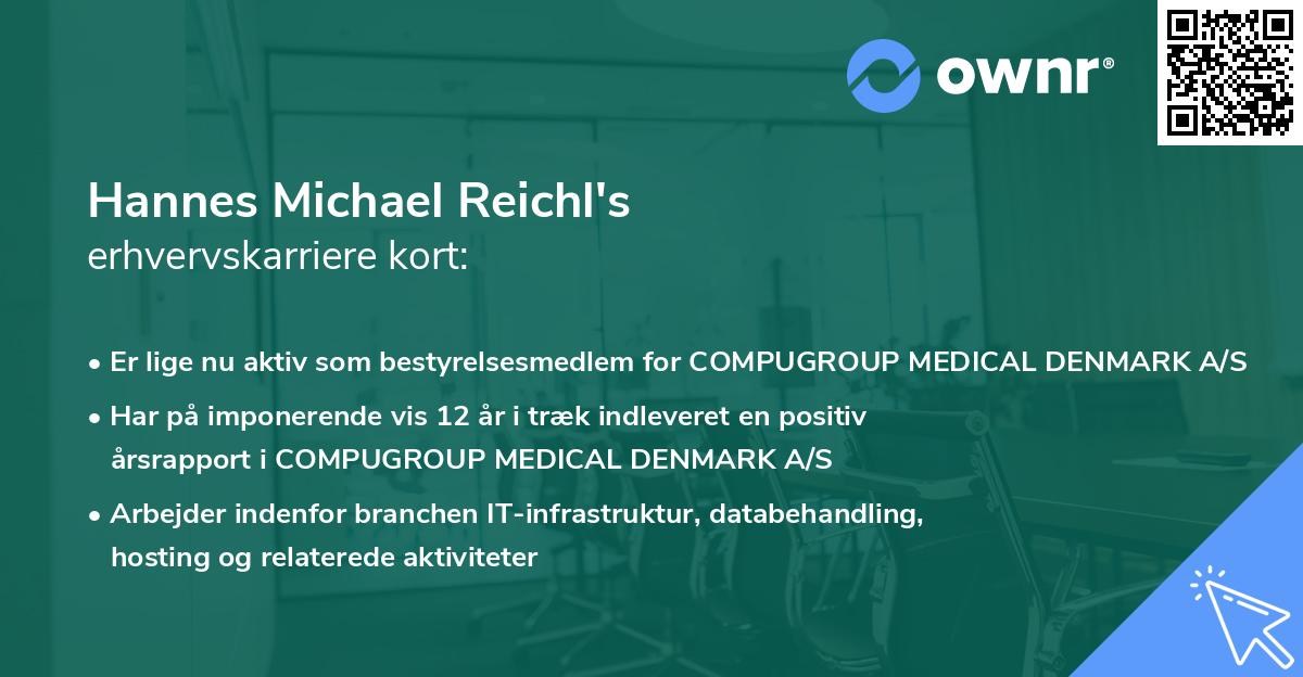 Hannes Michael Reichl's erhvervskarriere kort