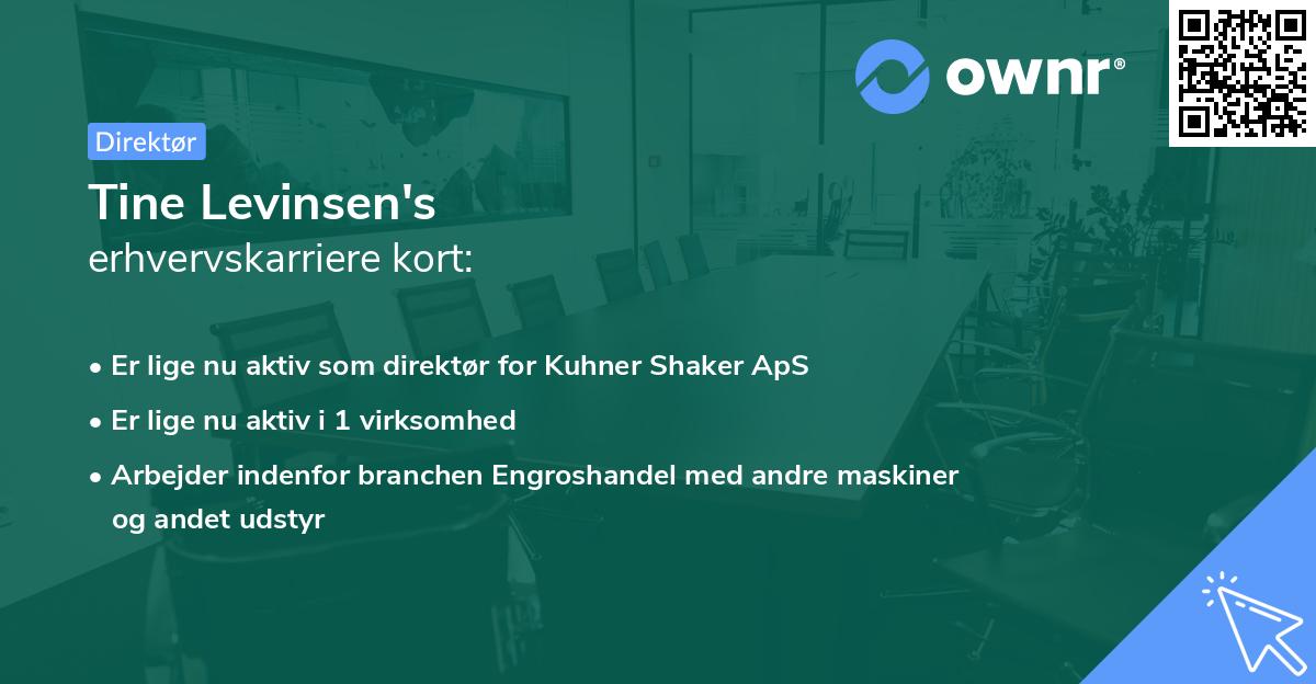 Tine Levinsen's erhvervskarriere kort