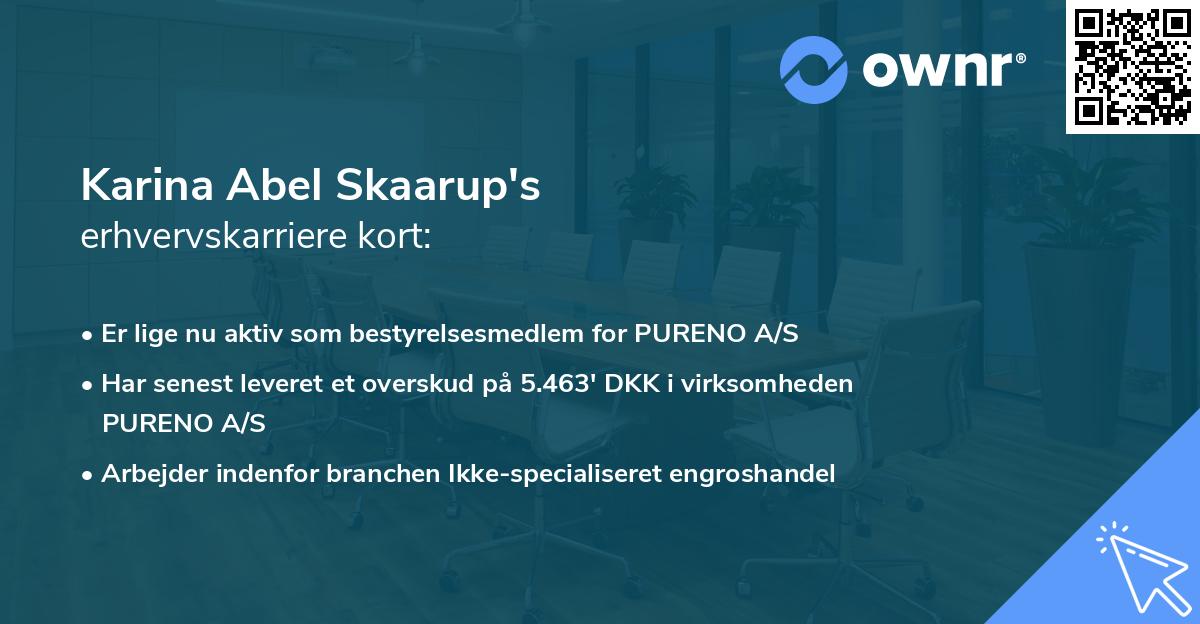 Karina Abel Skaarup's erhvervskarriere kort