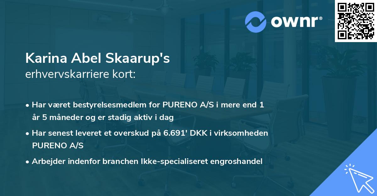 Karina Abel Skaarup's erhvervskarriere kort