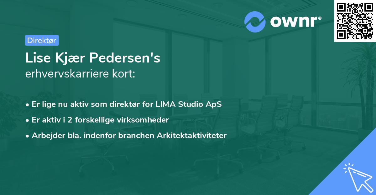 Lise Kjær Pedersen's erhvervskarriere kort