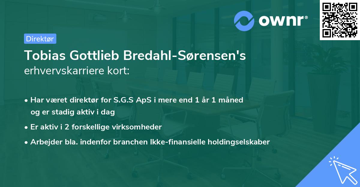 Tobias Gottlieb Bredahl-Sørensen's erhvervskarriere kort