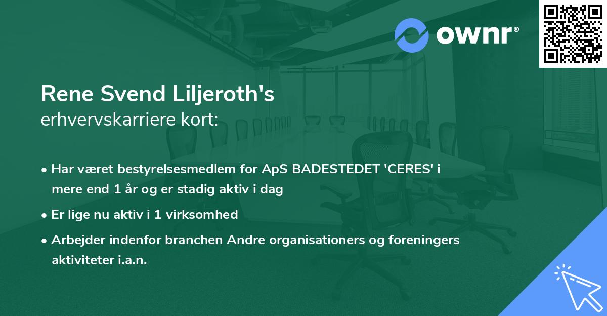 Rene Svend Liljeroth's erhvervskarriere kort