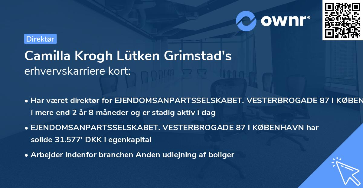 Camilla Krogh Lütken Grimstad's erhvervskarriere kort