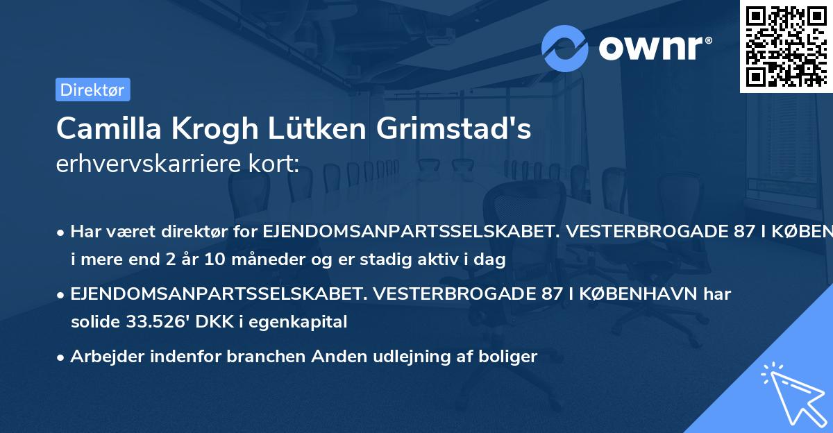 Camilla Krogh Lütken Grimstad's erhvervskarriere kort