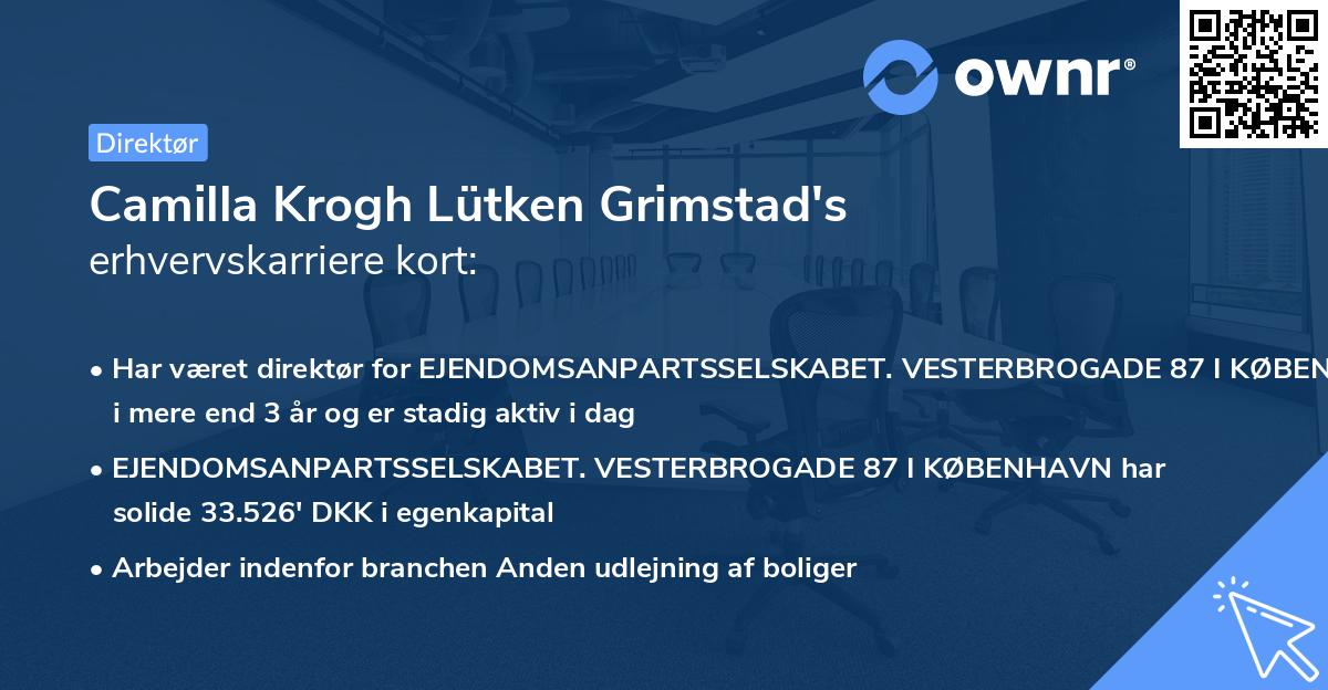 Camilla Krogh Lütken Grimstad's erhvervskarriere kort