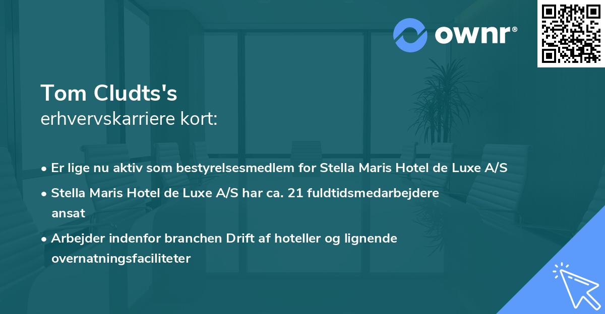 Tom Cludts's erhvervskarriere kort