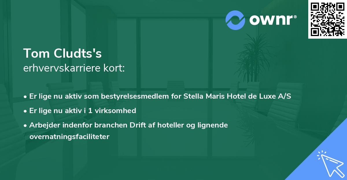 Tom Cludts's erhvervskarriere kort
