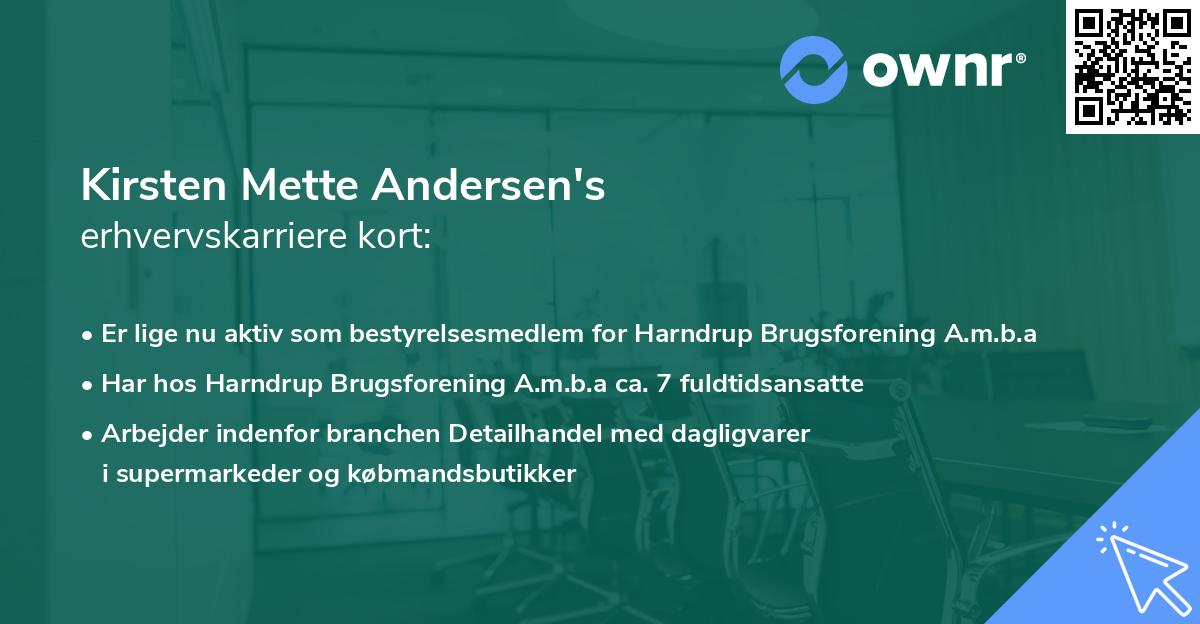 Kirsten Mette Andersen's erhvervskarriere kort