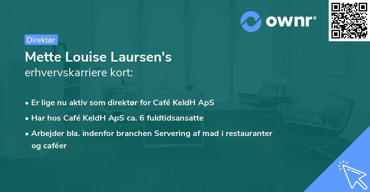 Mette Louise Laursen's erhvervskarriere kort