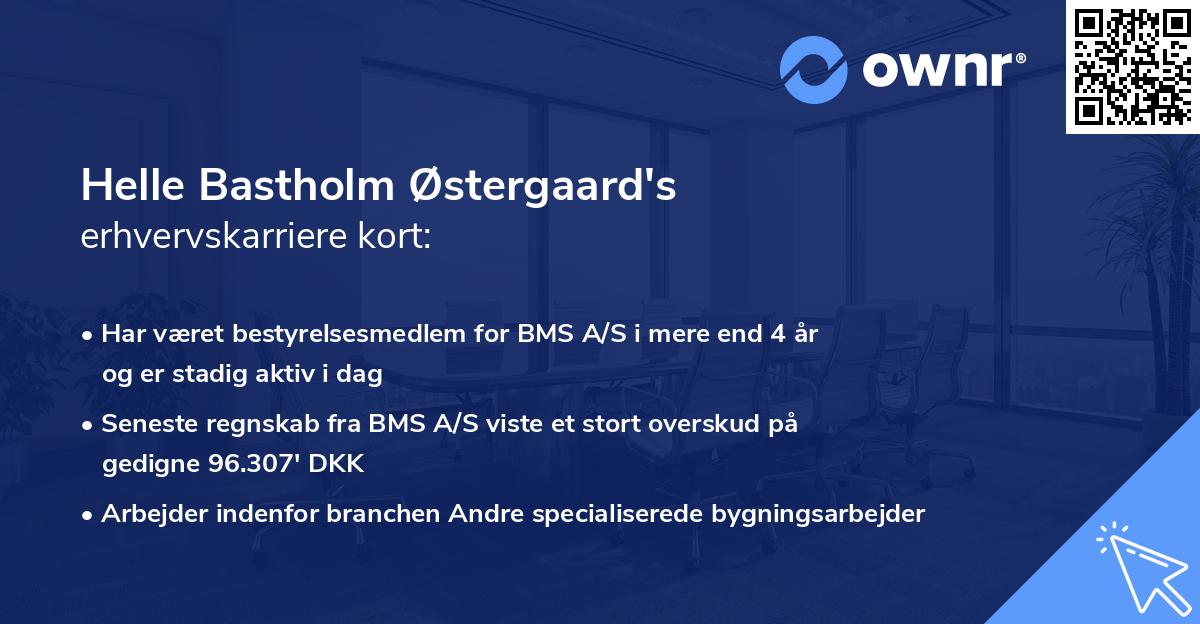 Helle Bastholm Østergaard's erhvervskarriere kort