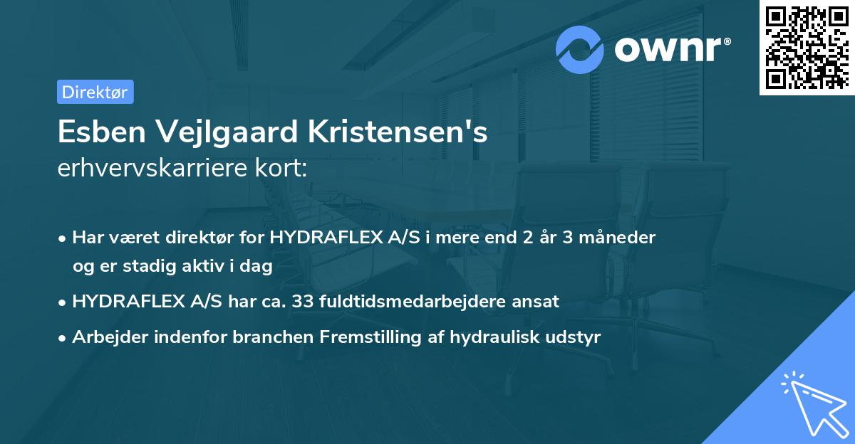 Esben Vejlgaard Kristensen's erhvervskarriere kort